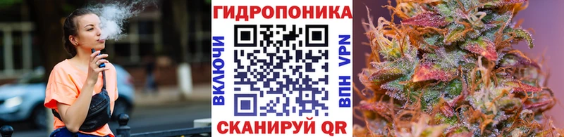 Где найти наркотики Звенигово OMG как войти  Мефедрон  АМФ  Гашиш  СК  Канабис 