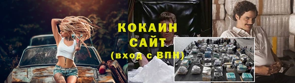 бошки Белокуриха