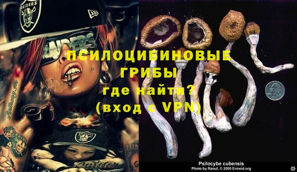 бошки Белокуриха