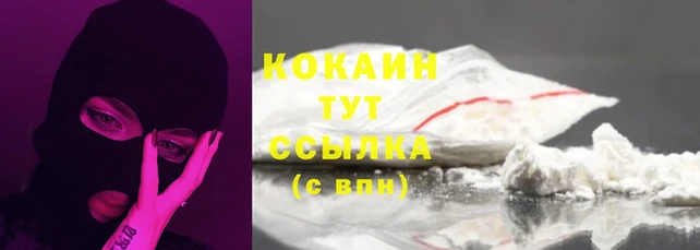 бошки Белокуриха